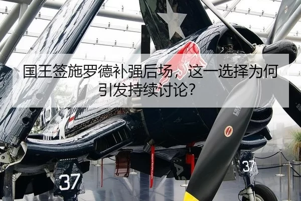 国王签施罗德补强后场，这一选择为何引发持续讨论？